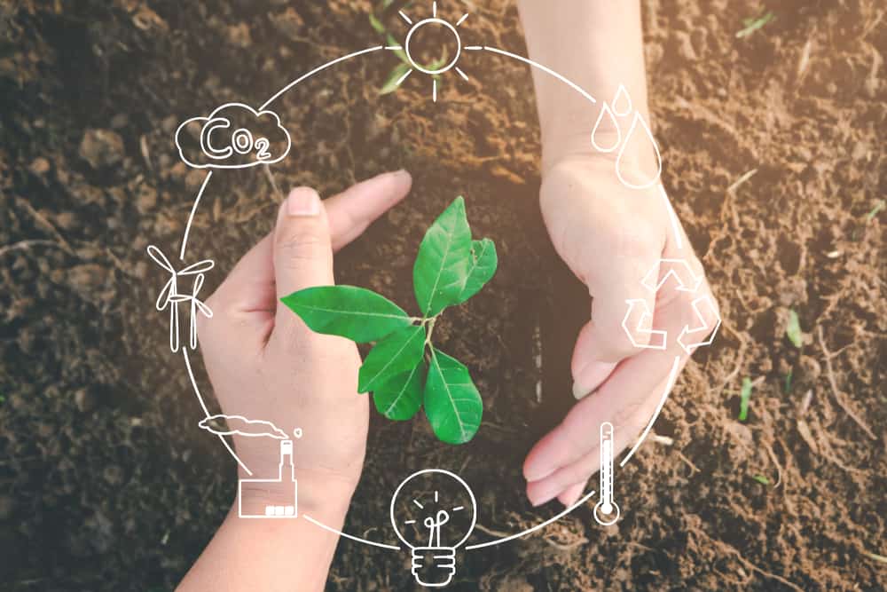 Nachhaltige ETFs kaufen Illustration