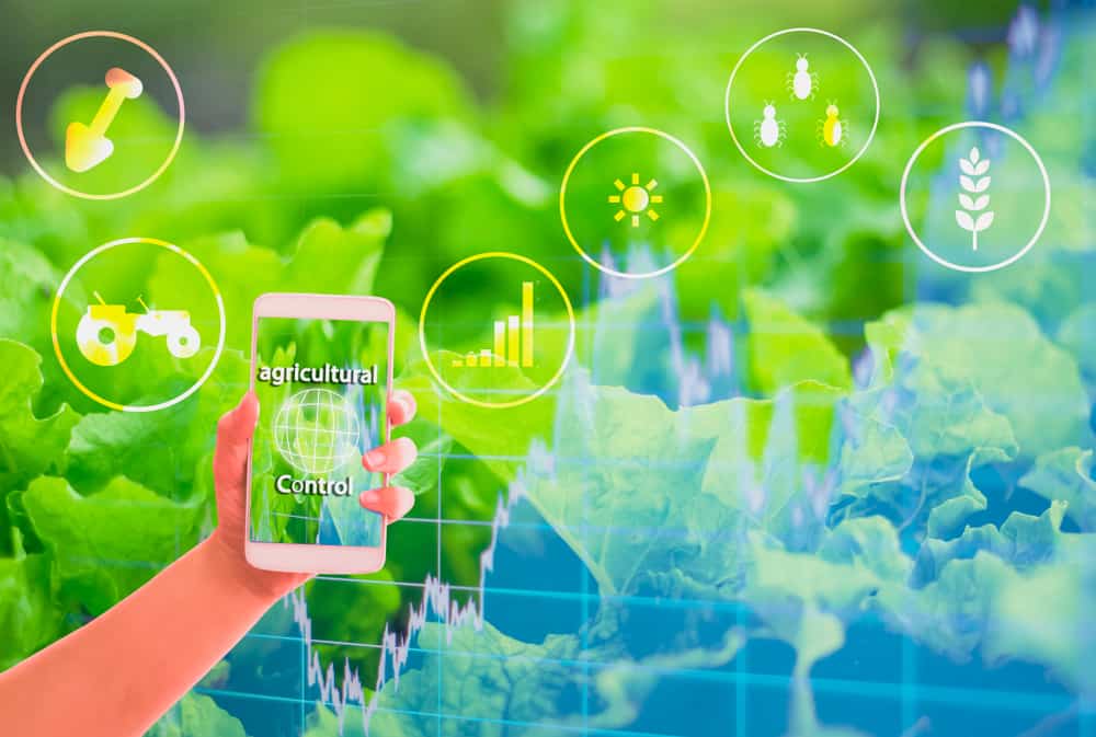 technologie aktien vergleich