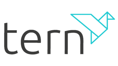 Tern logo
