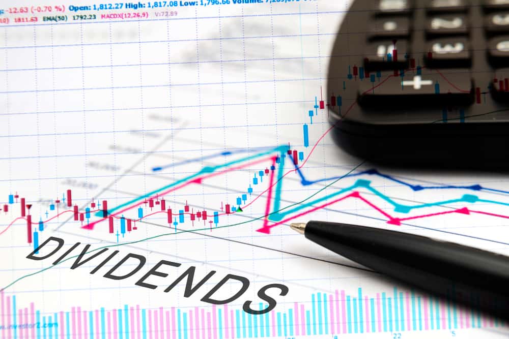 high dividend shares south africa